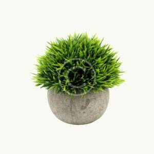 Decorative grass